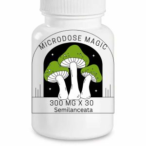Semilanceata Shroom