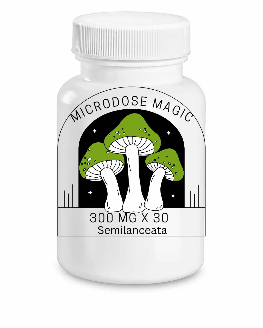 Semilanceata Shroom