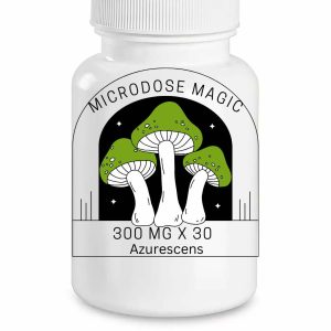 Azurescens Shroom